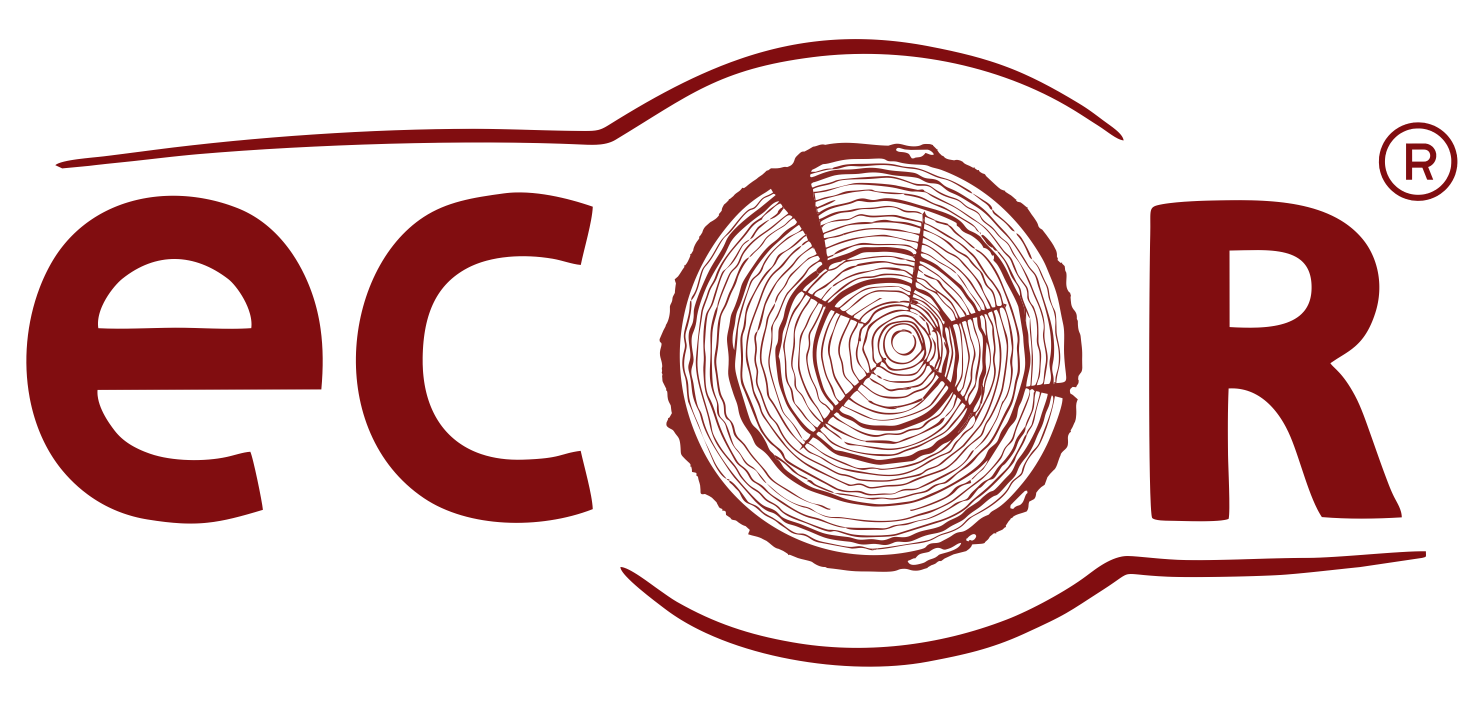 Ecor logo